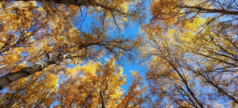 客官打尖还是住店公寓(迎宾路分店)图片