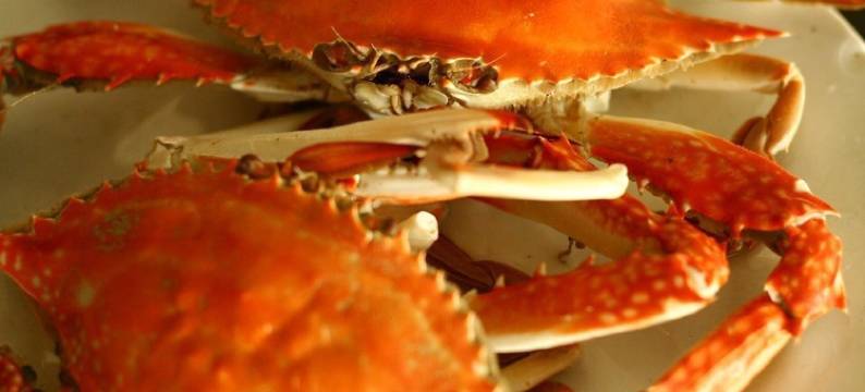 临海50米赶海拾贝坐船游泳自家渔家特色民宿(东区二街分店)图片