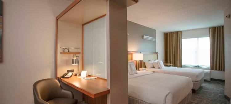 雅典市西万豪SpringHill酒店(SpringHill Suites Athens West)图片