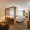 休斯敦罗森伯格SpringHill Suites酒店