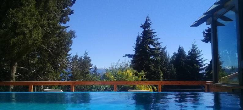 阿尔代亚安迪娜酒店与温泉(Aldea Andina Hotel&Spa)图片