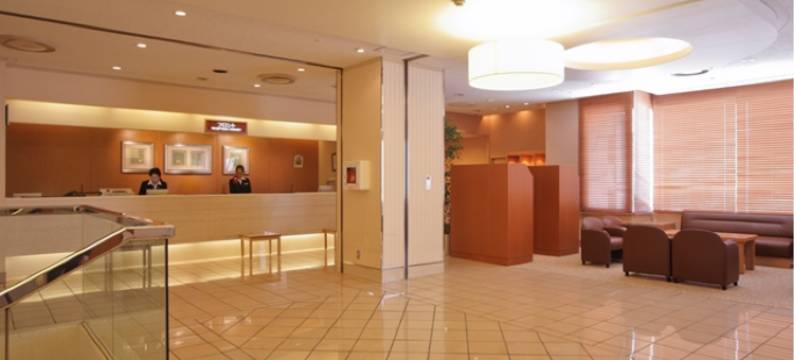 Alpico广场酒店(Alpico Plaza Hotel)图片