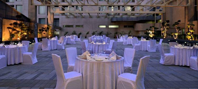 曼沙尔萨沃伊套房(Savoy Suites Manesar)图片