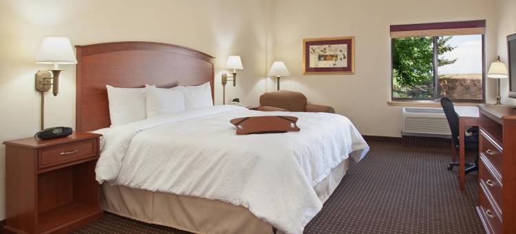 帕克欢朋套房酒店(Hampton Inn & Suites Parker)图片