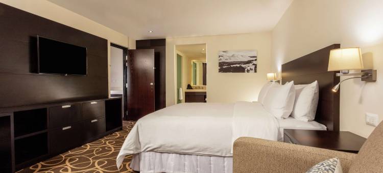 托卢卡希尔顿逸林酒店(DoubleTree by Hilton Toluca)图片