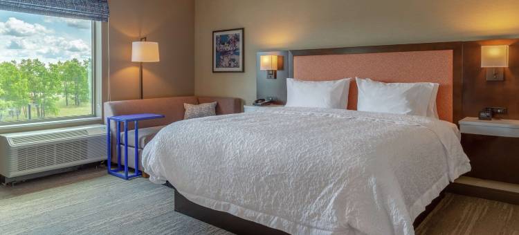 布尔博奈坎卡基希尔顿欢朋酒店(Hampton Inn by Hilton Bourbonnais/Kankakee)图片