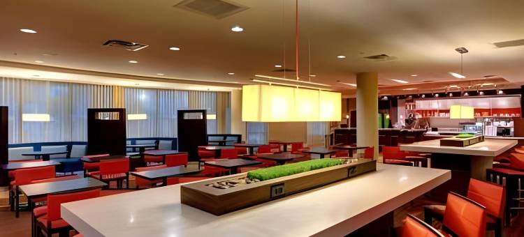 休斯顿医疗中心NRG公园万豪万怡酒店(Courtyard Houston Medical Center/NRG Park)图片