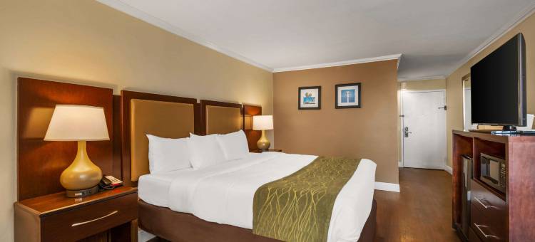 迪尔菲尔德海滩海淀舒适酒店(Comfort Inn Oceanside Deerfield Beach)图片