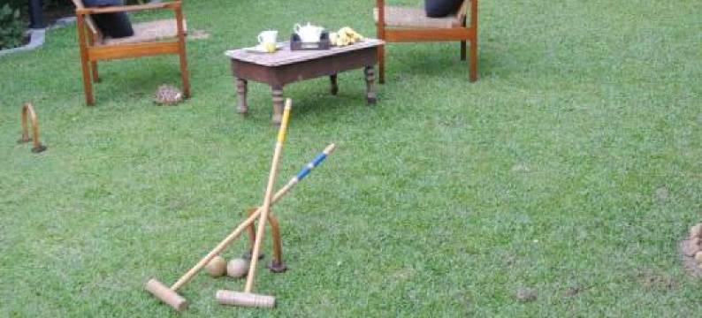 “27”火焰树城市绿洲住宿加早餐旅馆("27" Spathodea- Oasis in the City)图片