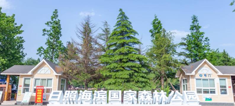 日出海上森林公寓(芙蓉路分店)图片