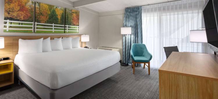 安娜堡戴斯酒店(Days Inn by Wyndham Ann Arbor)图片