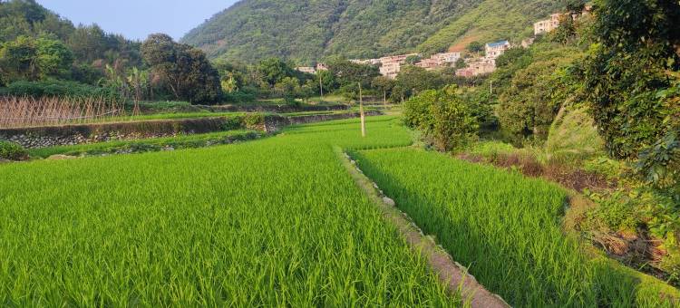 相遇院子公寓(梅塔线分店)图片