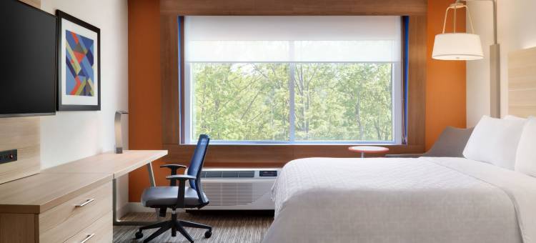 艾伦帕克智选假日套房酒店(Holiday Inn Express & Suites Allen Park)图片