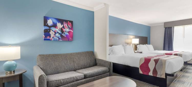 医学中心北贝斯特韦斯特套房酒店-近六旗(Best Western Medical Center North Inn  Suites Near Six Flags)图片