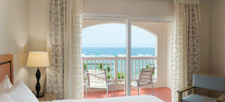 多拉多马尔海滩度假村希尔顿安泊酒店(Embassy Suites by Hilton Dorado del Mar Beach Resort)图片