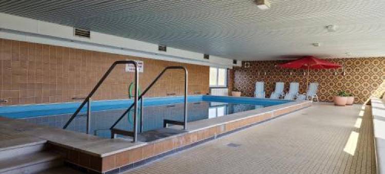 Tief 10 Deichkieker 204 zu Verkaufen图片