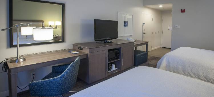 希尔顿欢朋套房酒店-新奥尔良爱姆伍德(Hampton Inn & Suites New Orleans-Elmwood/Clearview Parkway Area)图片