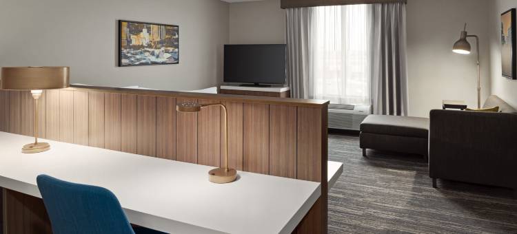 密尔沃基布鲁克菲尔德会议中心希尔顿花园酒店(Hilton Garden Inn Milwaukee Brookfield Conference Center)图片