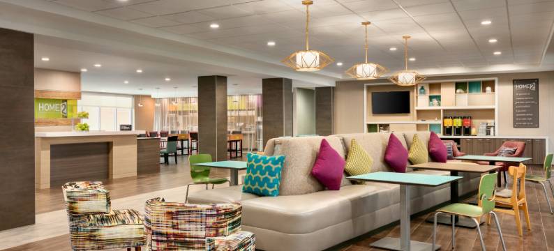 坦帕布兰登希尔顿惠庭酒店(Home2 Suites by Hilton Brandon Tampa)图片