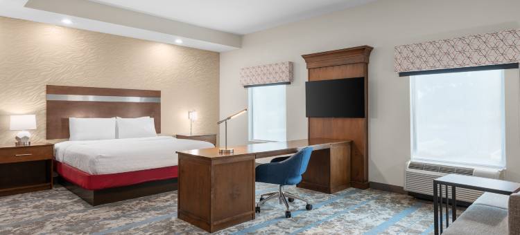 希尔顿欢朋酒店-亚特兰大麦克多诺(Hampton Inn Atlanta/McDonough)图片