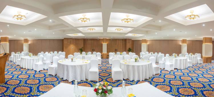 齐普尔金色郁金香酒店(Golden Tulip Jaipur)图片