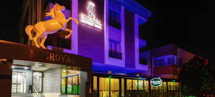 麦克皇家酒店(Microyal Hotel)图片