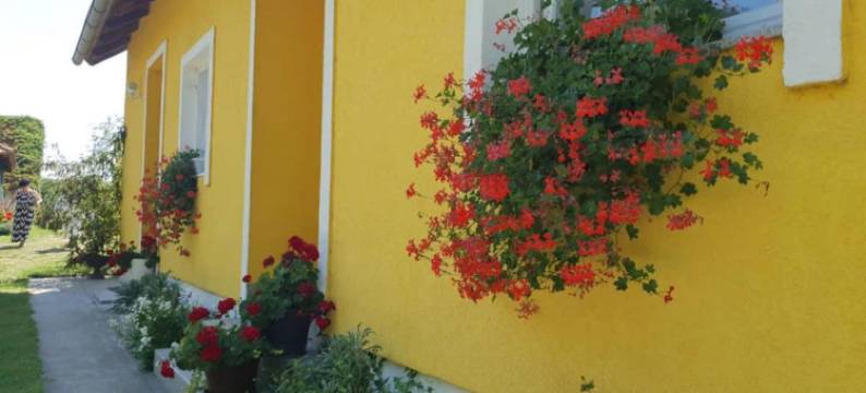 Čeliković公寓(Apartment Čeliković)图片