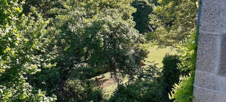 沃里耶雷宅邸酒店(Maison Volière)图片