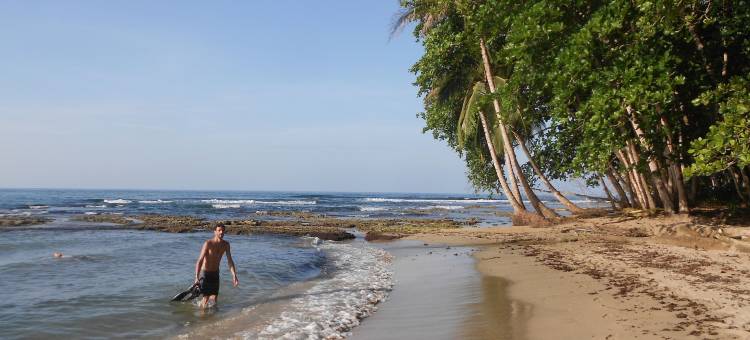 海上阳光旅馆(Hotel Casitas Mar y Luz)图片