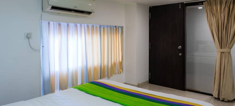 Treebo 蓝屋顶(Treebo the Blue Roof)图片