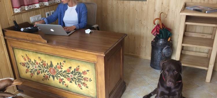 Berghi酒店和公寓(Berghi Hotel and Apartments)图片