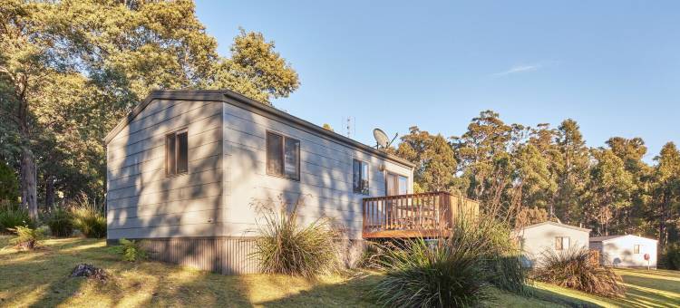 NRMA亚瑟港假日公园(Nrma Port Arthur Holiday Park)图片