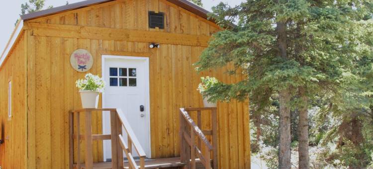 北极蜻蜓旅馆(Arctic Dragonfly Inn)图片