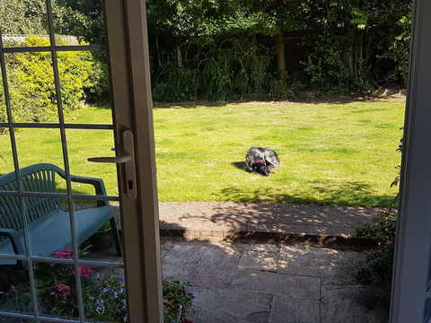 夏日住宿加早餐旅馆