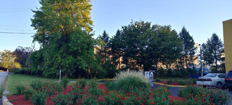 新坎伯兰速8温德姆酒店(Super 8 by Wyndham New Cumberland)图片