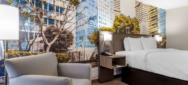 罗利市中心凯隆波因特酒店(Clarion Pointe Raleigh Midtown)图片