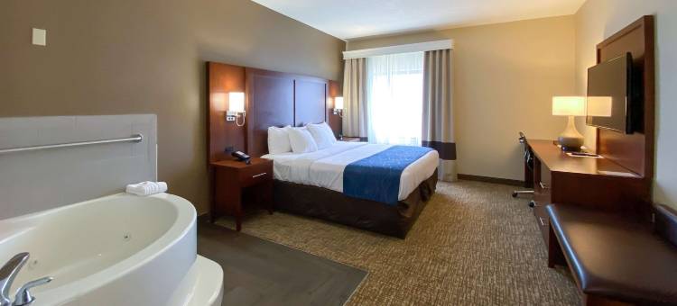 舒适酒店-斯普林菲尔德东温莎市(Comfort Inn East Windsor - Springfield)图片