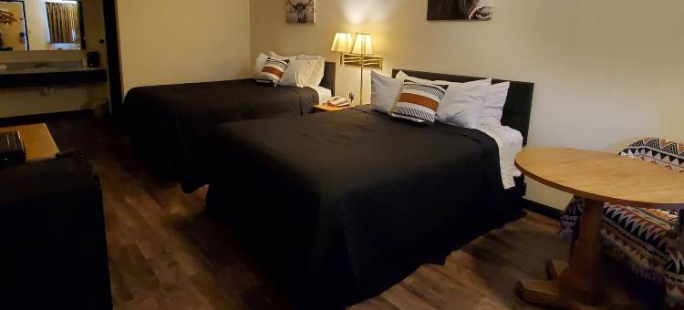 仙人掌旅馆套房(Cactus Inn and Suites)图片