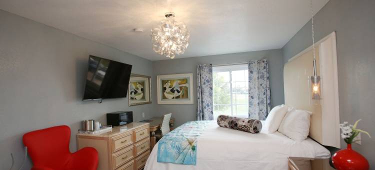 蜻蜓客栈和套房(Dragonfly Inn & Suites)图片