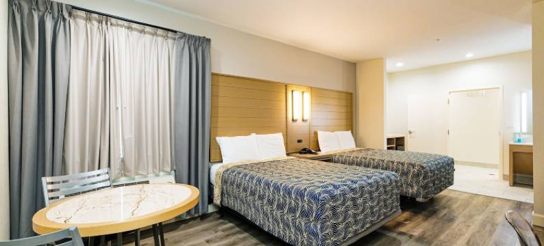 蓝宫酒店东IAH(Palace Inn Blue IAH East)图片