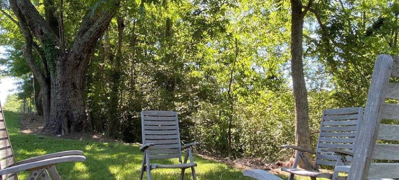 Pinnacle Cottage - 2 bedroom/1.5 bath - near Pilot Mountain State Park图片