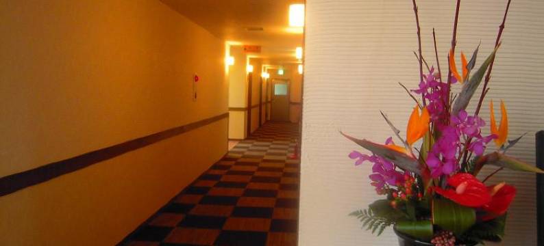 拉库辛酒店(Rakuchin)图片