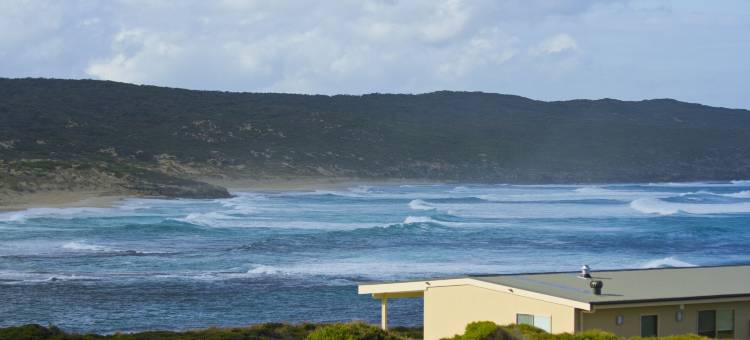 汉森湾小屋(Hanson Bay Wildlife Sanctuary and Cabins)图片