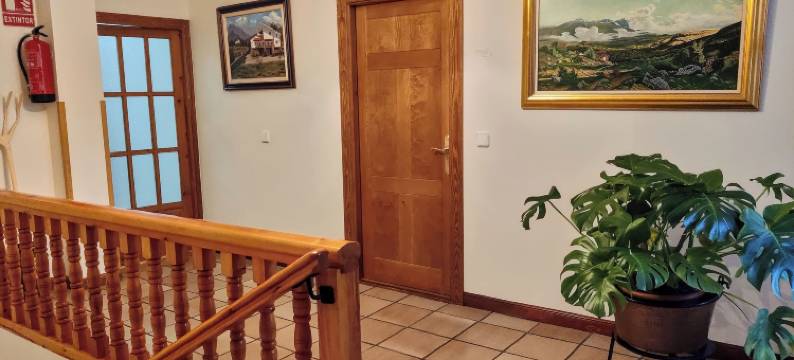 Javier 公寓(Apartamentos Javier)图片