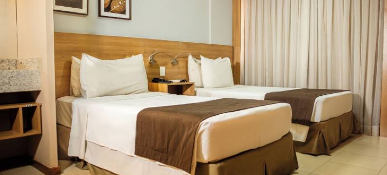 塞尔陶齐尼奥舒适酒店(Comfort Hotel Sertãozinho)图片