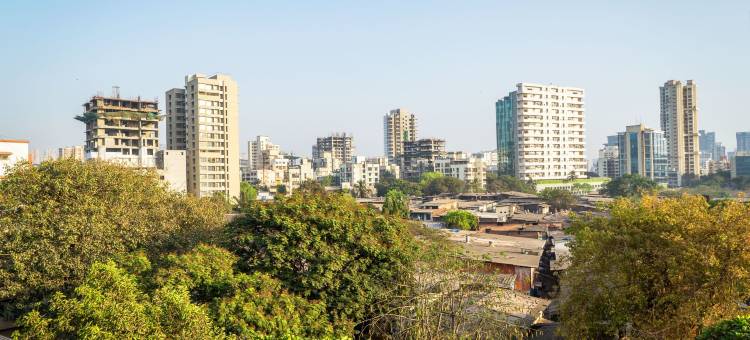 Treebo橄榄巢(Treebo Olive Nest)图片