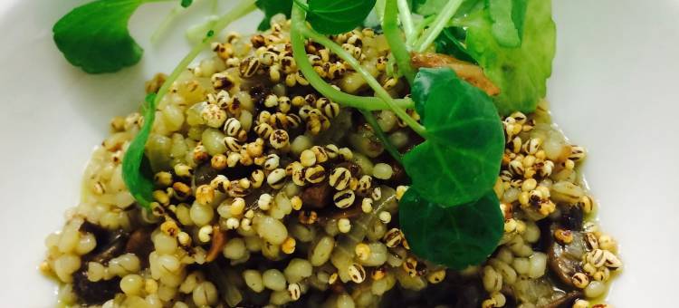 Hotel Aateli Hillside = 阿特利山坡酒店(Hotel Aateli Hillside)图片