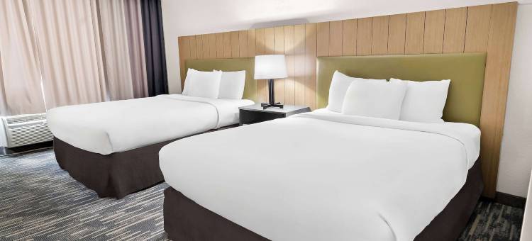 哥伦比亚机场丽怡酒店(Country Inn & Suites by Radisson, Columbia Airport, SC)图片
