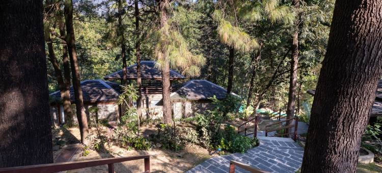 普纳那瓦度假村及水疗中心(Punarnava Resort & Spa)图片