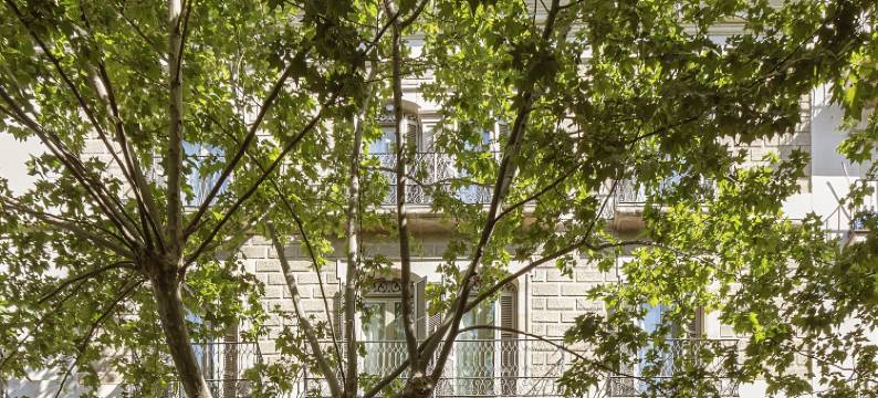 卡萨艾略特酒店(Casa Elliot by Bondia Hotel Group)图片